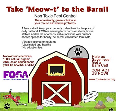 Tnr Barn Program Friends Of Roswell Animals