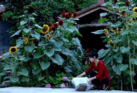 Lý tử thất đang làm chiếc váy từ vỏ nho, năm 2017. Lý Tử Thất là ai? Tiểu sử của Lý Tử Thất