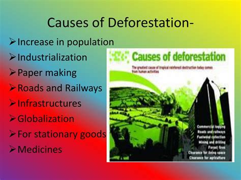 Natural Causes Of Deforestation