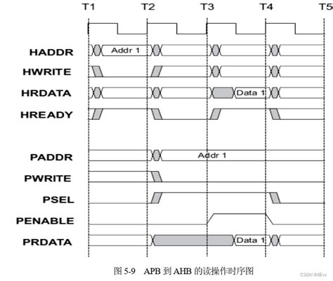 Ahb To Apb Bridge——03 阅读spec文档、设计测试用例ahb2apb桥验证 Csdn博客