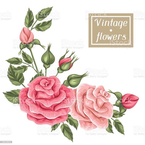 Crisantemos, tulipanes, phlox, peonía, anémona, helechos. Floral Element With Vintage Roses Decorative Retro Flowers Object For Stock Illustration ...