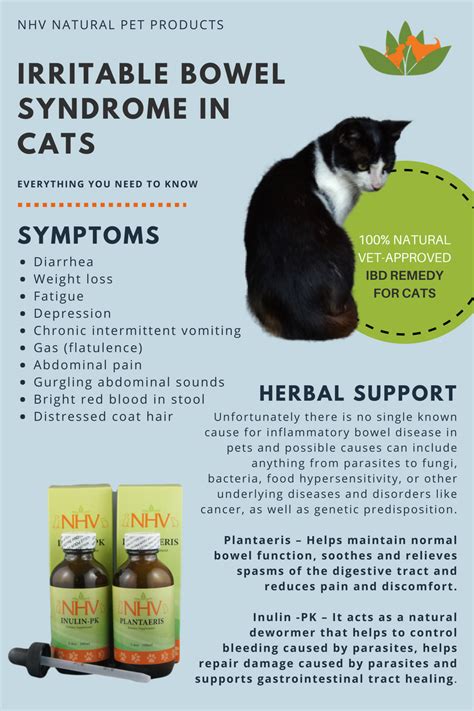 Nhv Remedies Helped Misha With Her Ibd Nhv Natural Pet Products Blog
