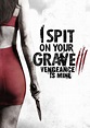 I Spit on Your Grave 3: Vengeance is Mine DVD Release Date October 20, 2015