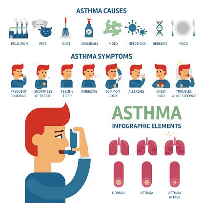 Asthma types, symptoms, causes, and tests. Asthma Symptoms And Causes Infographic Elements Stock ...