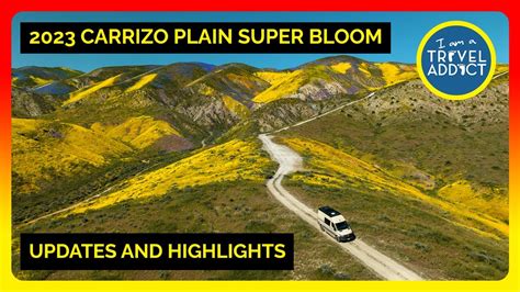 Carrizo Plain Super Bloom Update And Highlights Youtube