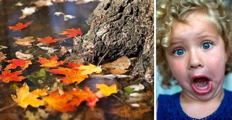 10 Crazy Differences In The World During The Fall Season