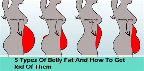 5 Types Of Belly Fat And How To Get Rid Of Them Trainhardteam