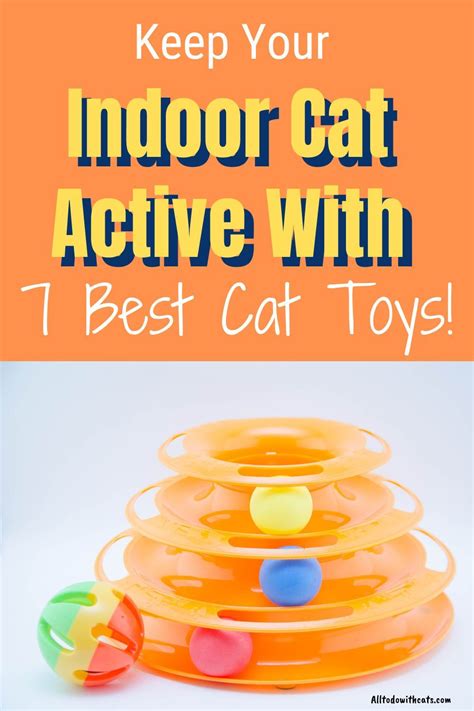 Best Cat Toys For Indoor Cats To Keep Your Kitty Active Cat Toys