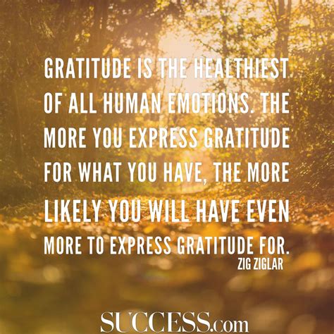 Thoughtful Quotes About Gratitude Success