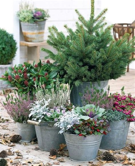 The Best Container Gardening Winter 2022 Atelieartemae