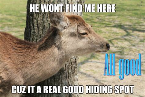 Funny Deer Memes