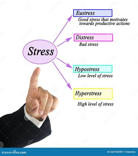 Presentar Cuatro Tipos De Estrés Imagen De Archivo Imagen De Malo