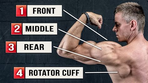 Best Shoulder Workout Without Weights Workoutwalls