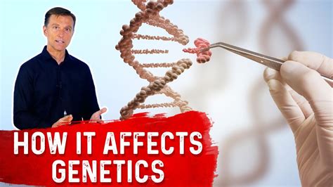 How Fasting Influences Your Genes Youtube