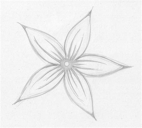 Pencil Sketches Of Flowers For Beginners