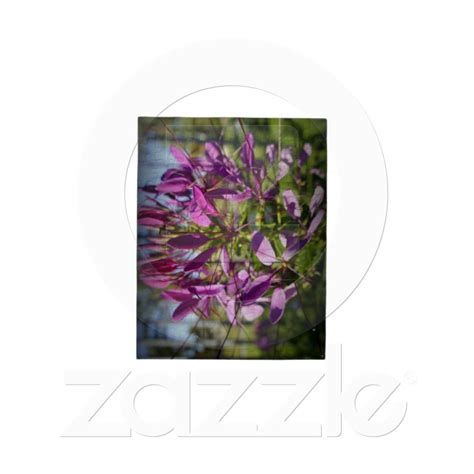 We did not find results for: kennencombo: Small Tree With Purple Flowers Crossword Clue ...