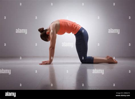 Beautiful Sporty Fit Yogini Woman Practices Yoga Asana Marjariasana