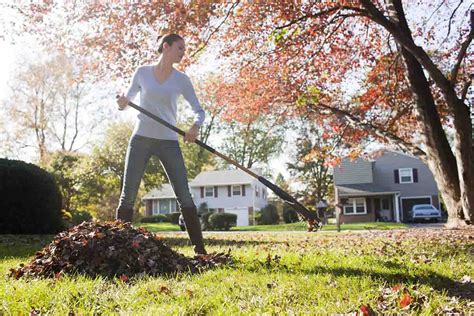 Winter Preparation How To Winterize Your Lawn Urban Gardening