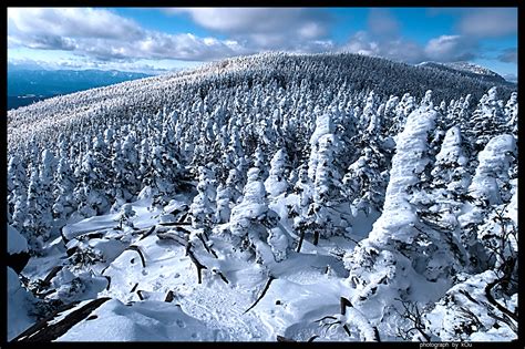 Wallpaper Winter Snow Sky Tree Freezing Mountain Frost Ice
