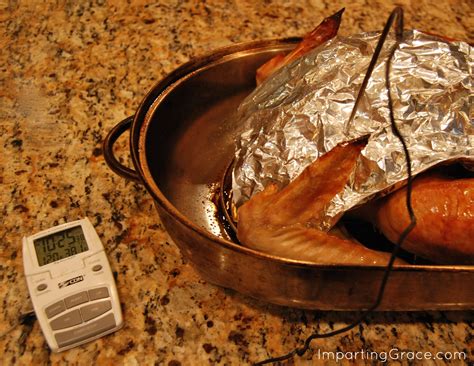 Hold the thermometer in place until the numbers stop. Imparting Grace: How to roast a turkey
