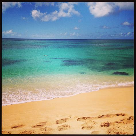 North Shore, Oahu. | Oahu, Beach day, Resort