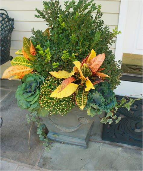 Fall Flower Container Garden 36 Container Flowers Fall