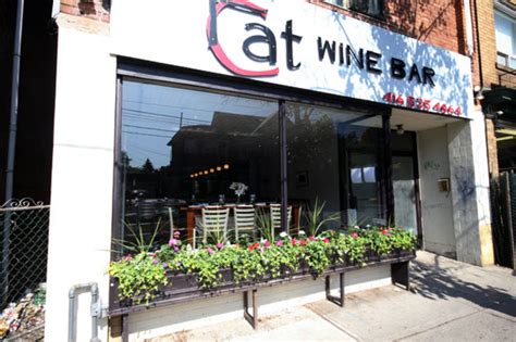 The cat wine pawty pack is the purrfect gift for your feline companion. Fat Cat Wine Bar - CLOSED - blogTO - Toronto