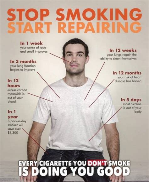 Unique anti smoking posters designed and sold by artists. Cancer Council calls for more funding for anti-tobacco ...