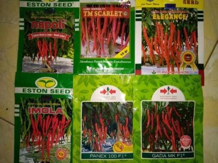 toko pertanian terdekat lmga agro  menanam cabe merah bibit hibrida