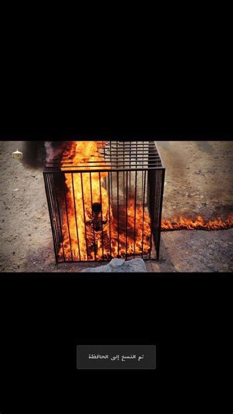 Omg Captured Jordanian Pilot Burnt Alive In A Cage By Isis See Pics
