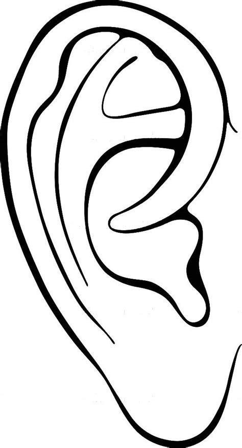 Dog Ears Coloring Pages Ear Drawing Human Ear Ear Art