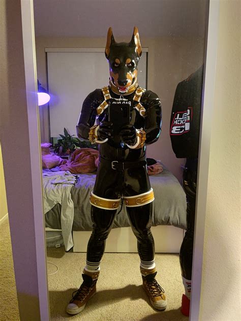 Pup Rally On Twitter RT Pup Mylo Pup Is Ready To Go Out And Cause Trouble