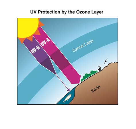 What is the ozone layer? Scientific Assessment of Ozone Depletion 2010: Twenty ...