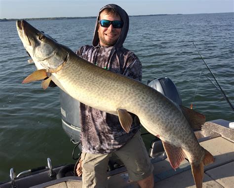 54 Inch Muskie On Green Bay In Wisconsin On 08172019 Muskiefirst