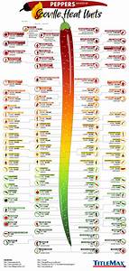 Peppers Ranked By Scoville Heat Units Infographic