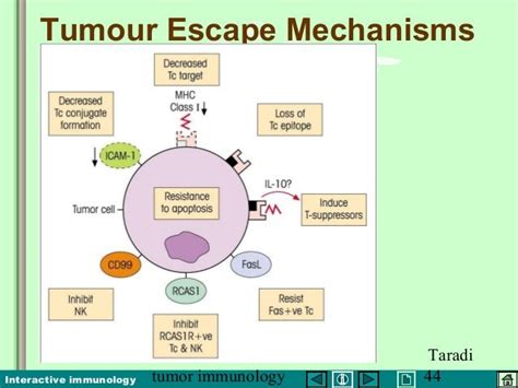 Tumour Immunology