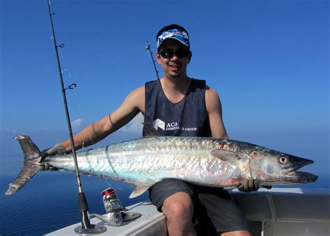 King mackerel or scomberomorus cavalla. How to Catch Kingfish (King Mackerel)