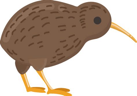 Kiwi Bird Clipart Free Download Transparent Png Creazilla