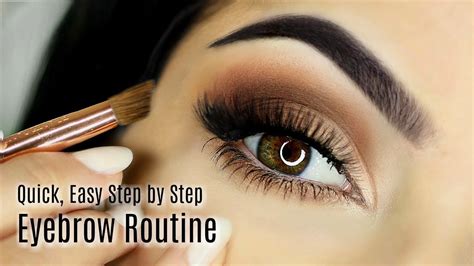 Beginners Eye Brow Makeup Tutorial Parts Of The Eye Brow How To