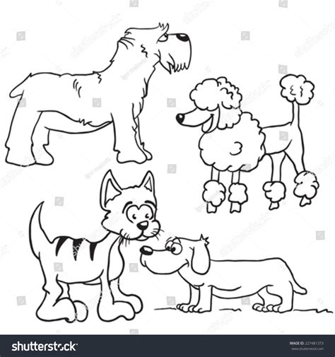 Three Dogs Cat Comic Illustration Stock Vector Royalty Free 227481373