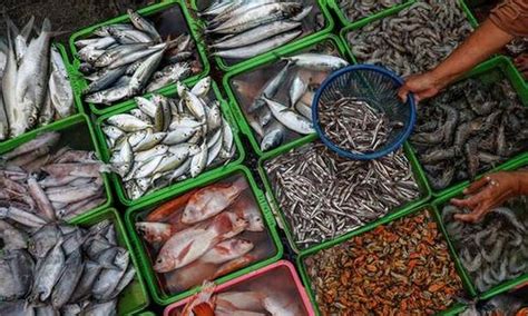 Seafood Exports From India See All Round Dip In 2020 21