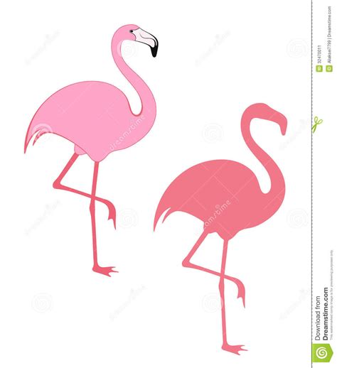 Flamingo Pictures Kids Search