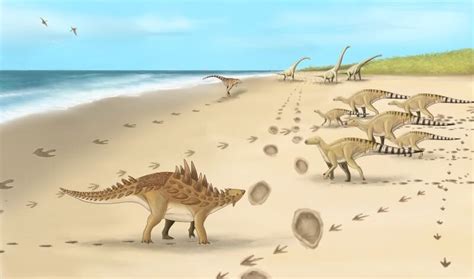 Footprints Discovered From The Last Dinosaurs To Walk On
