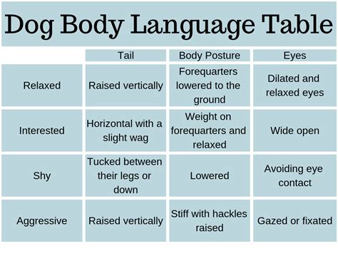 Three Tricks To Understanding And Interpreting Dog Body Language Sitstay