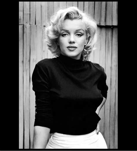Marilyn Monroe Hot Photo Gorgeous Sexy Black Perky Blouse Publicity Photo 4 28 Picclick