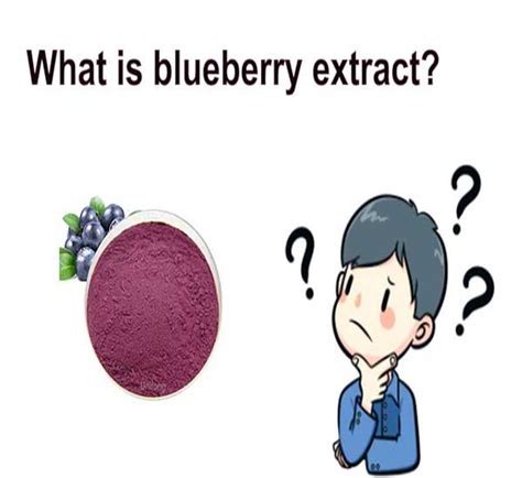 What Is Blueberry Extract Chemical Supplier