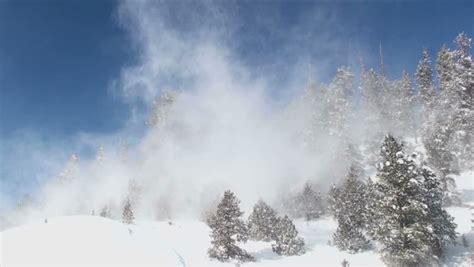 Snow Blows Through Trees On Windy Winter Day 1920x1080 Stock Footage