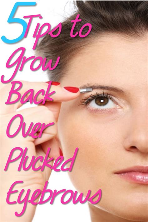 5 Tips To Grow Back Over Plucked Eyebrows All Things Beauty Beauty