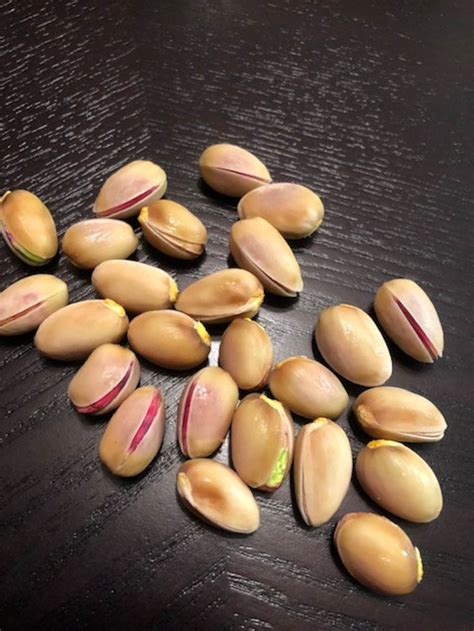 25 Pistachio Seeds From Golden Hill Pistachio Tree Grown In Etsy