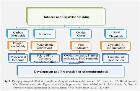 Figure 1 From Smoking And Cardiovascular Diseases Semantic Scholar